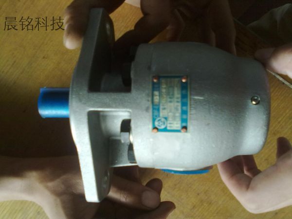 0506. Gear pump 0506. Gear pump